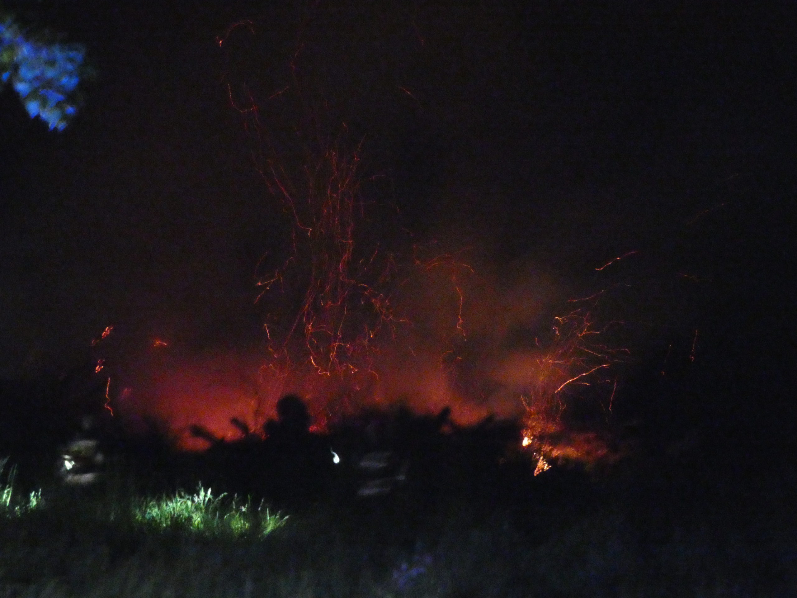 Kolejny niebezpieczny pożar gałęzi przy torach na Skolwinie